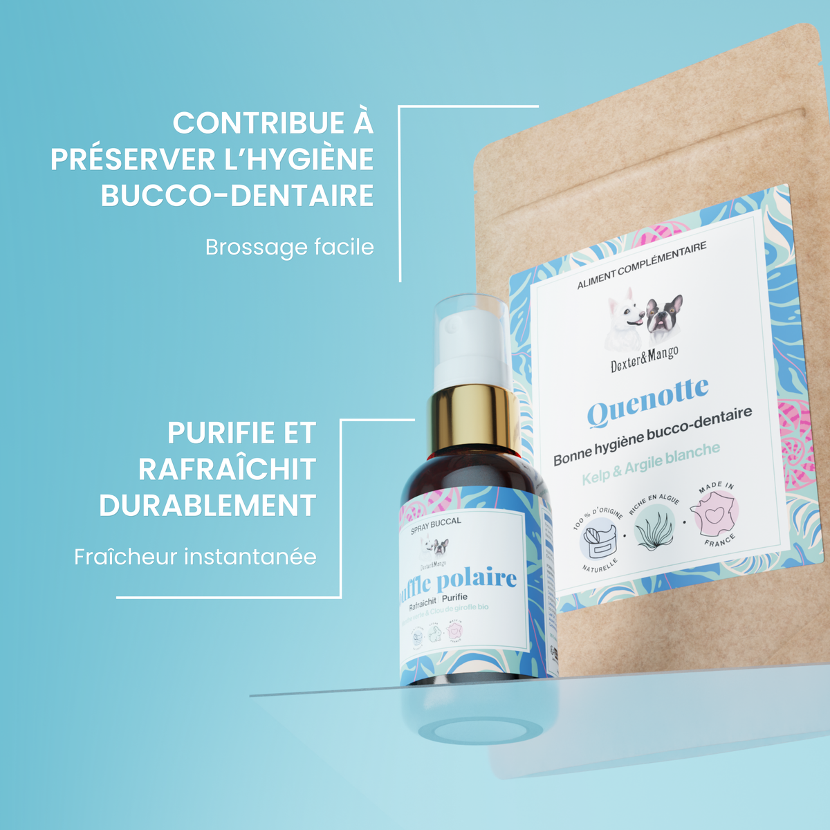 Routine dentaire