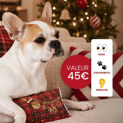 Coffret de Noël