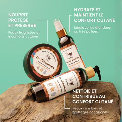 Routine confort cutané - Version shampoing liquide