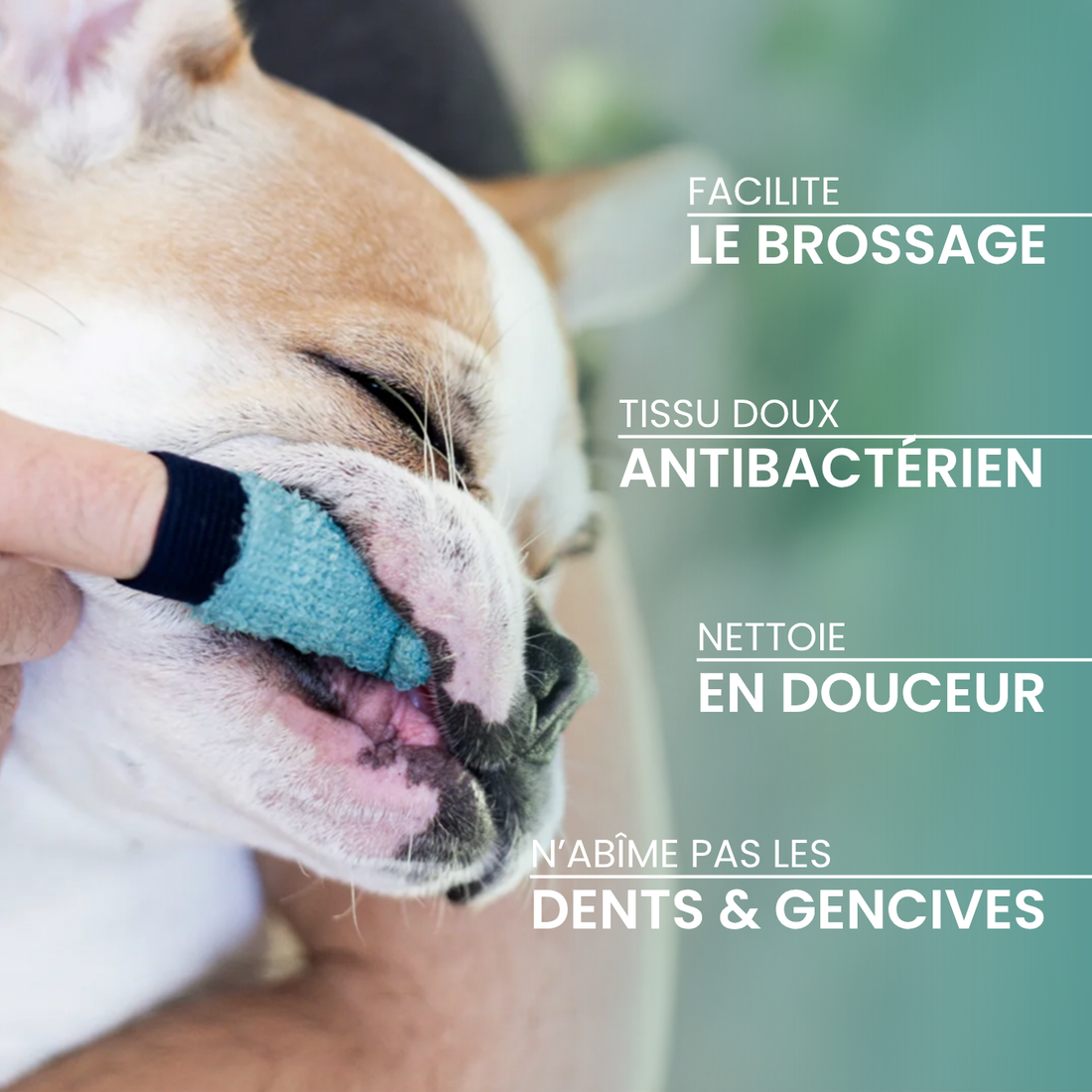 Brosse à dents D&amp;M