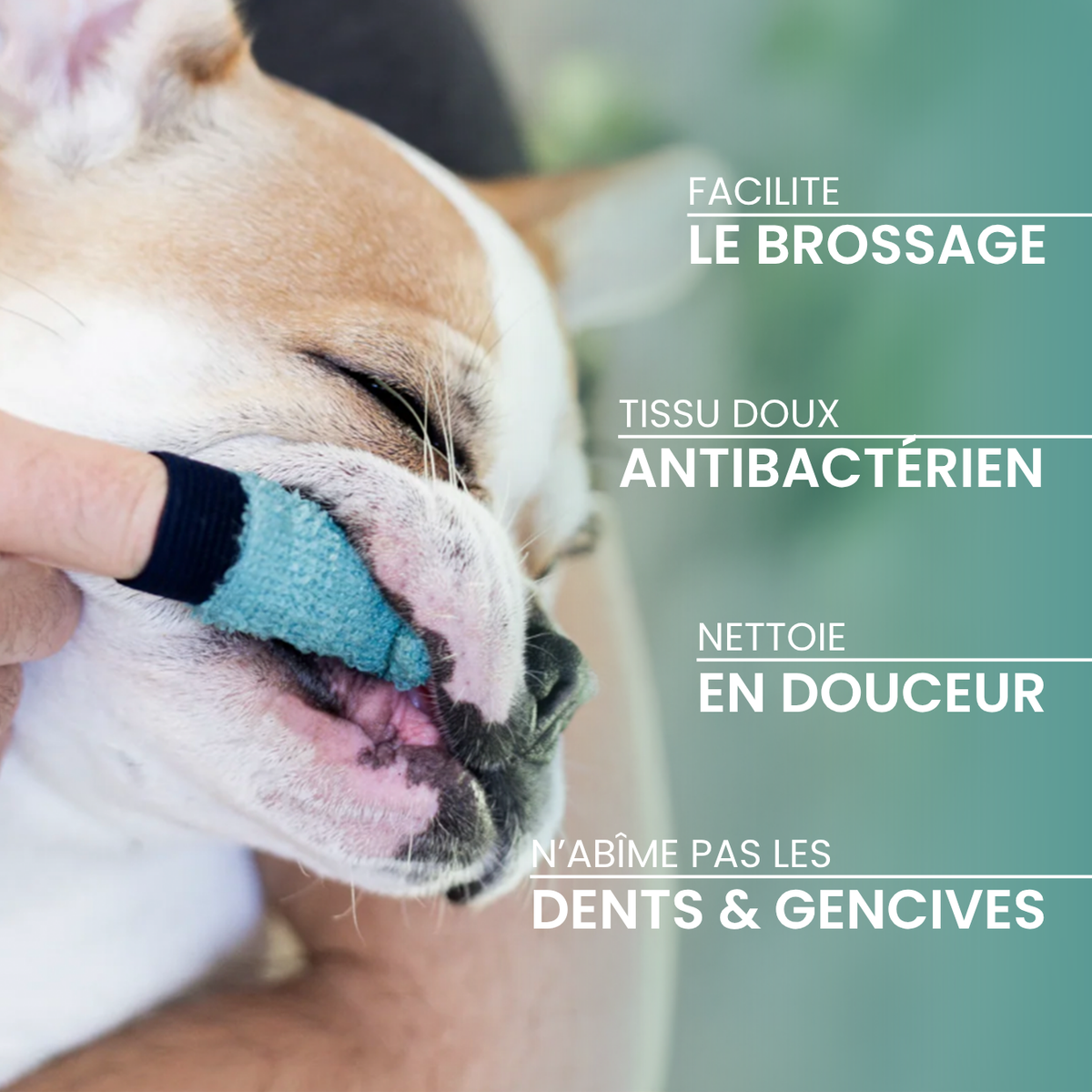 Brosse à dents D&amp;M