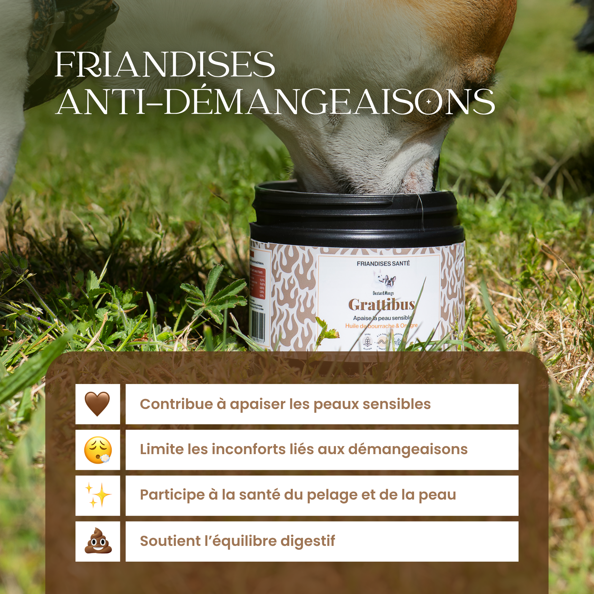 Démangeaisons chien : Friandises santé Grattibus