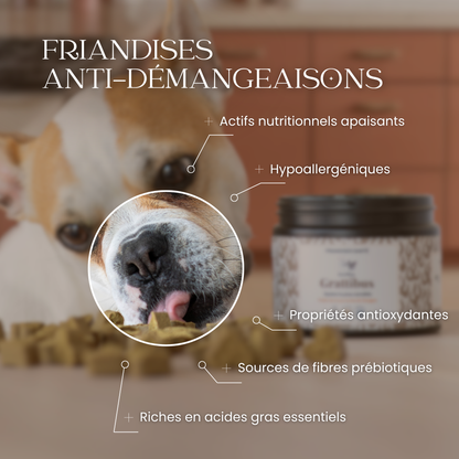 Démangeaisons chien : Friandises santé Grattibus