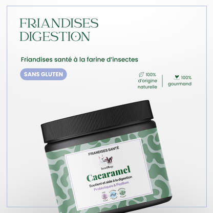 Digestion chien : Friandises santé Cacaramel