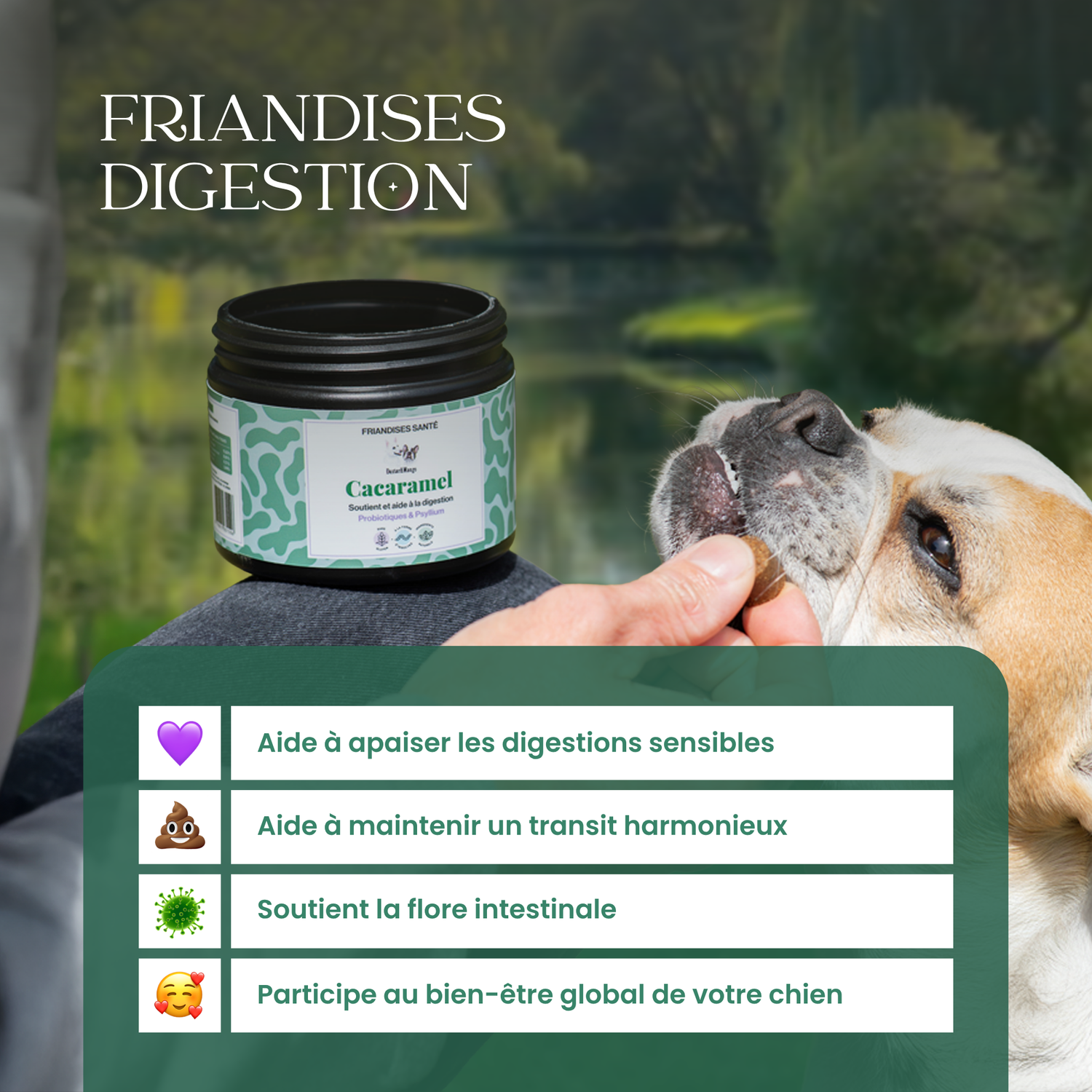 Digestion chien : Friandises santé Cacaramel