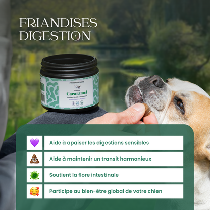 Digestion chien : Friandises santé Cacaramel