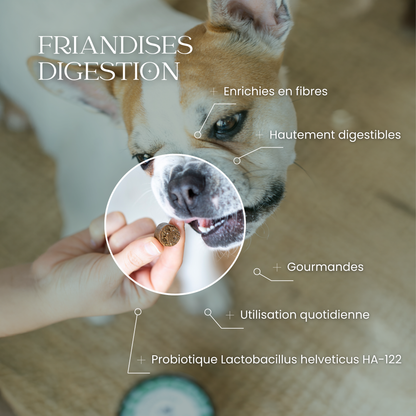Digestion chien : Friandises santé Cacaramel