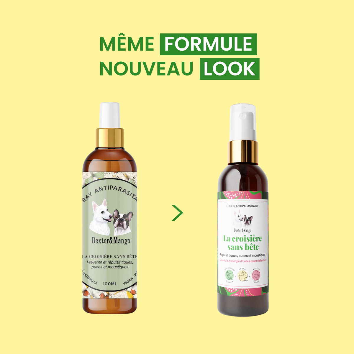Lotion antiparasitaire : La croisière sans bête