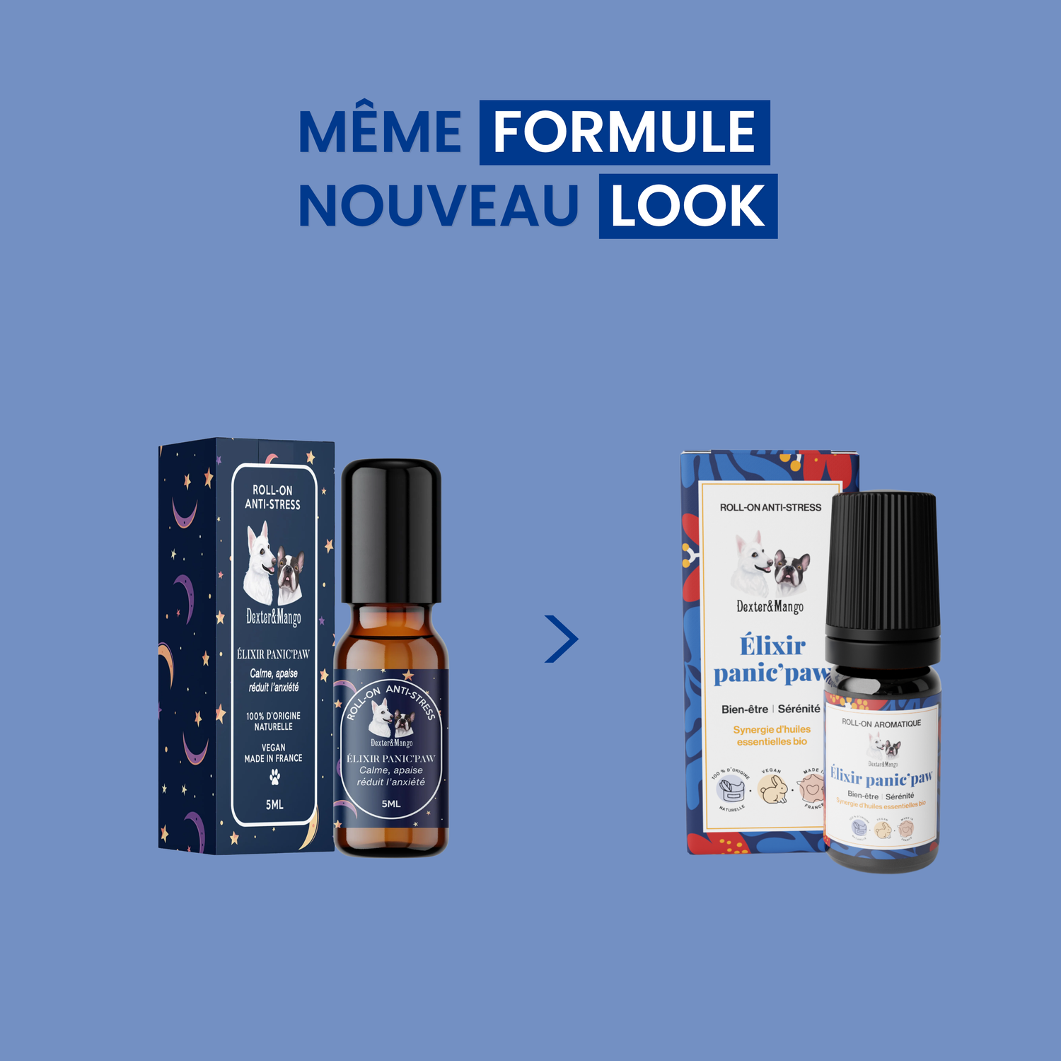 Roll-on anti-stress chien : Panic’paw, l’élixir de sérénité à emporter partout