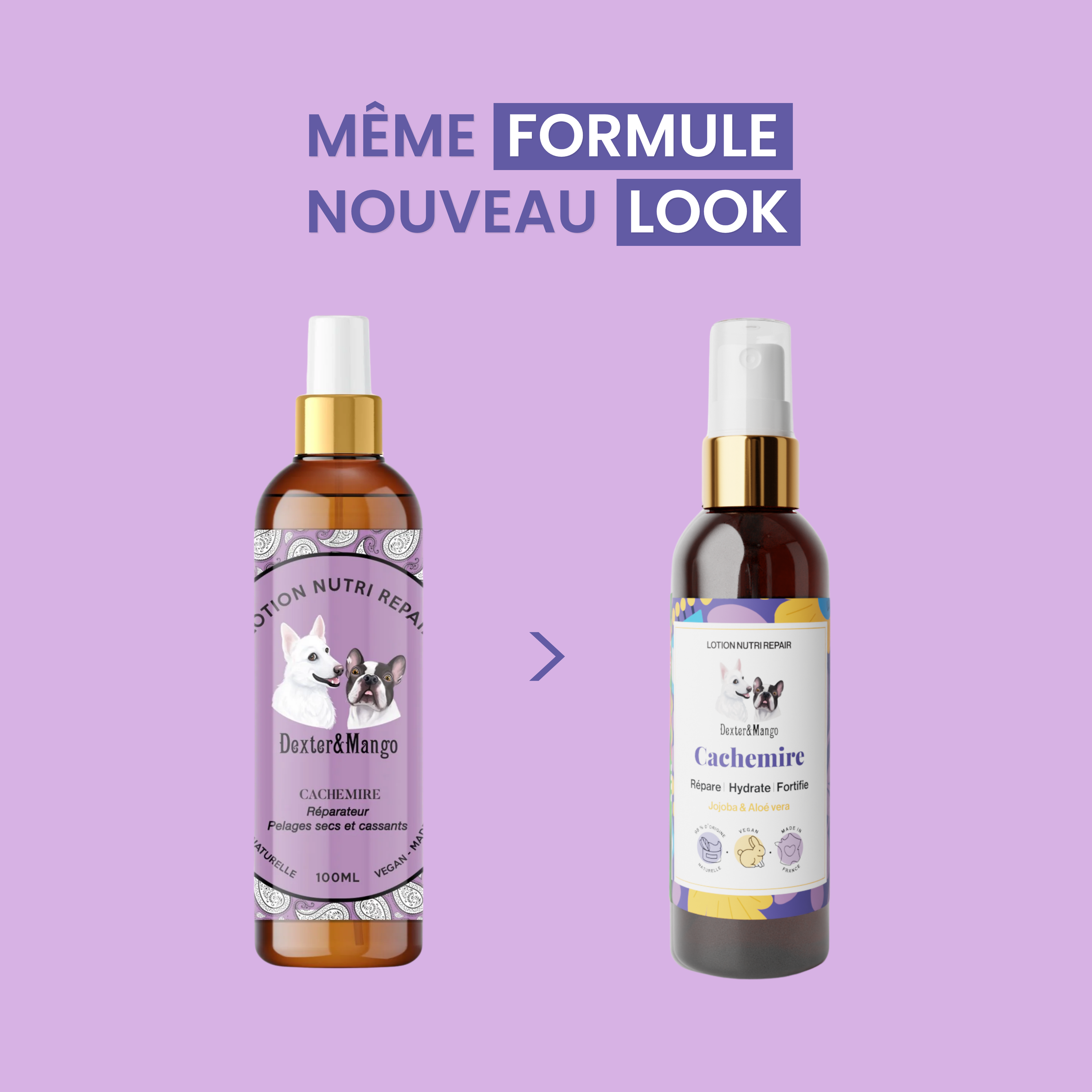 Lotion pour pelage chien et chat : Nutri Repair Cachemire