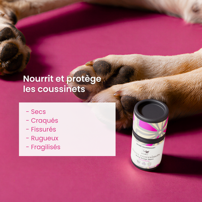 Coussinet de chien abimé : Stick Doux coussinets