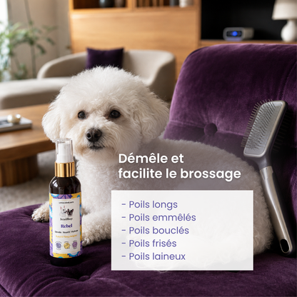 Démélant chien et chat : La lotion Rebel