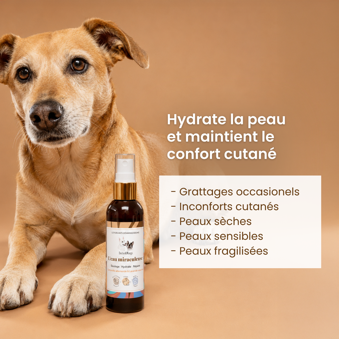 L’Eau Miraculeuse : Lotion apaisante pour chien