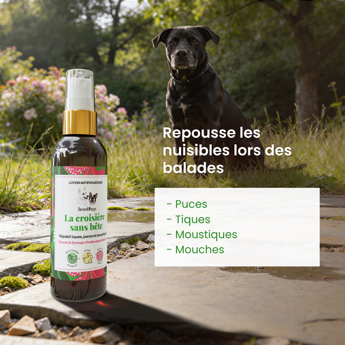Lotion antiparasitaire : La croisière sans bête
