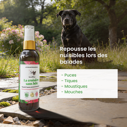 Lotion antiparasitaire : La croisière sans bête