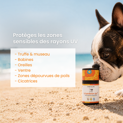 Crème solaire chien et chat SPF30 : Lézarderas-tu ?