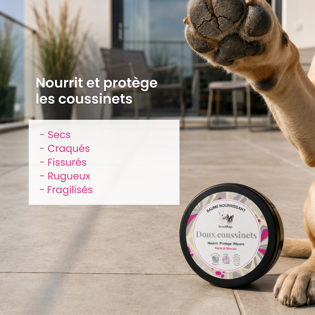 Baume coussinet chien : Doux coussinets