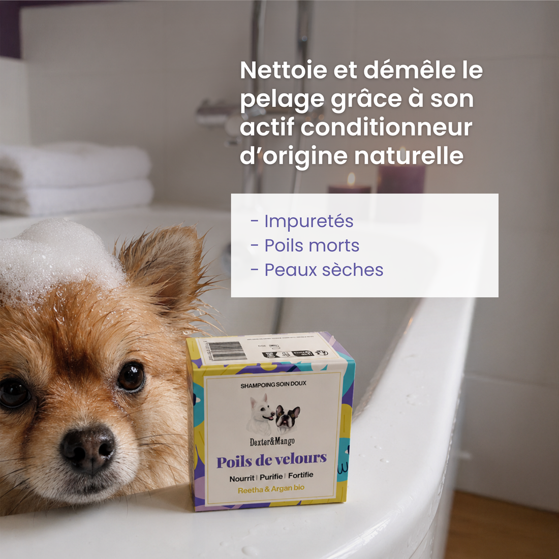 Shampoing Poils de velours solide : Soin doux
