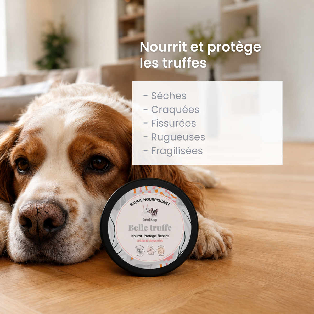Belle truffe : Baume nourrissant