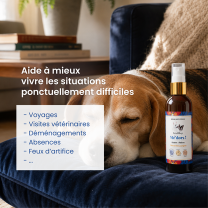 Mé’dors : Brume sérénité pour chien