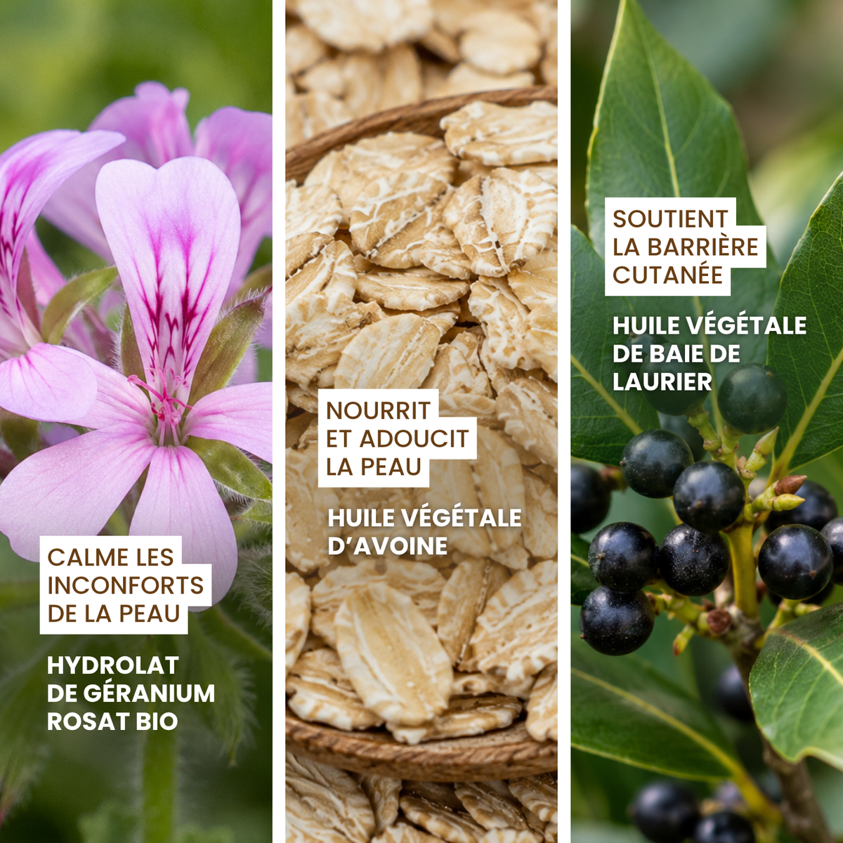 Shampoing Le Miraculeux : confort des peaux sensibles
