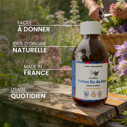 Potion Fée du bien : Aliment complémentaire sérénité