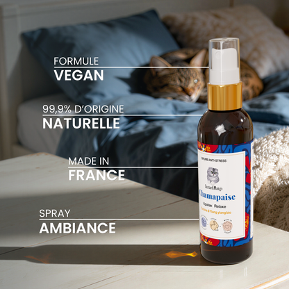 Chamapaise : Brume sérénité pour chat