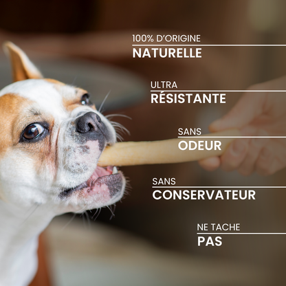 Barre fromagère : La mastication longue durée pour chien