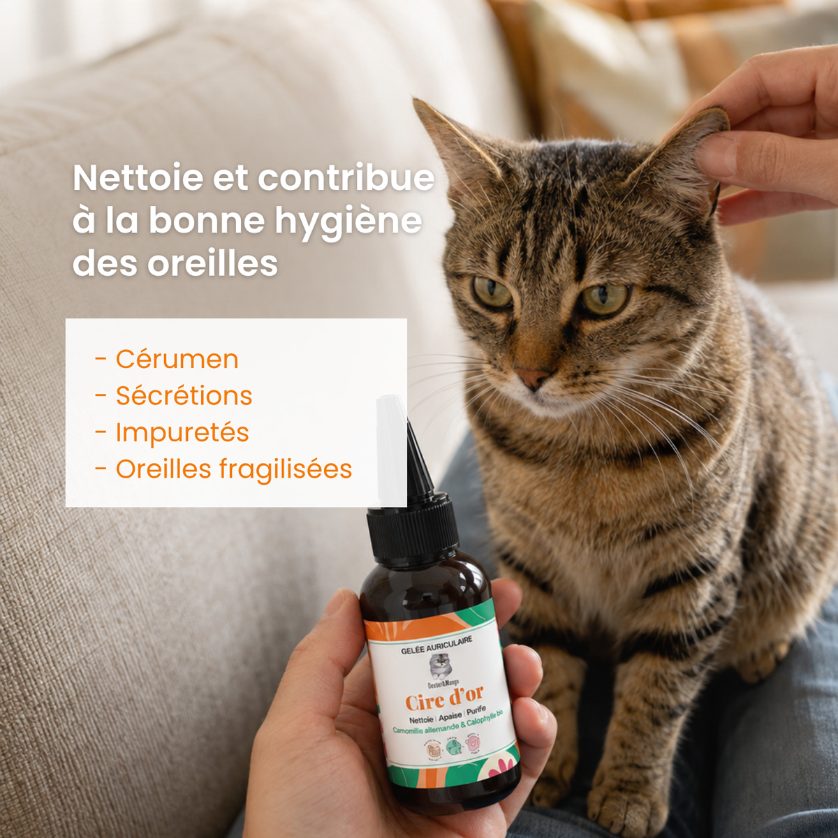 Nettoyant oreilles chat : La Gelée Cire d&
