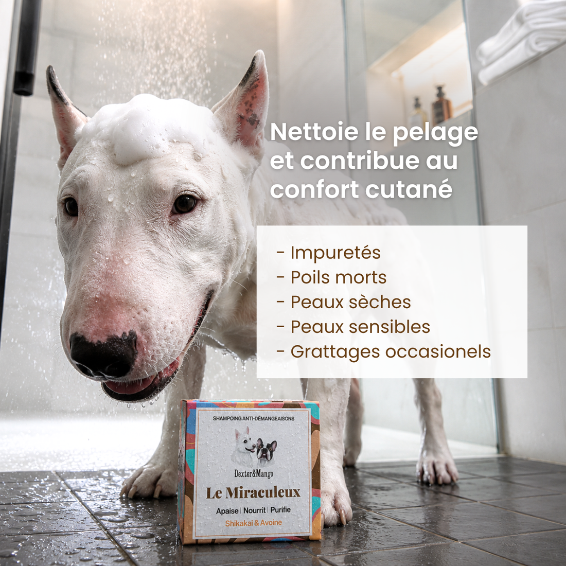 Shampoing Le Miraculeux solide : Confort cutané
