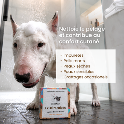 Shampoing Le Miraculeux solide : Confort cutané