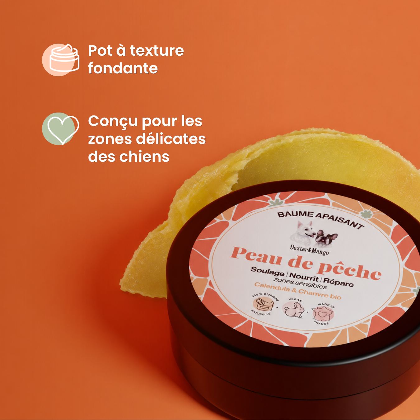 Baume Peau de Pêche : Soin des zones sensibles du chien
