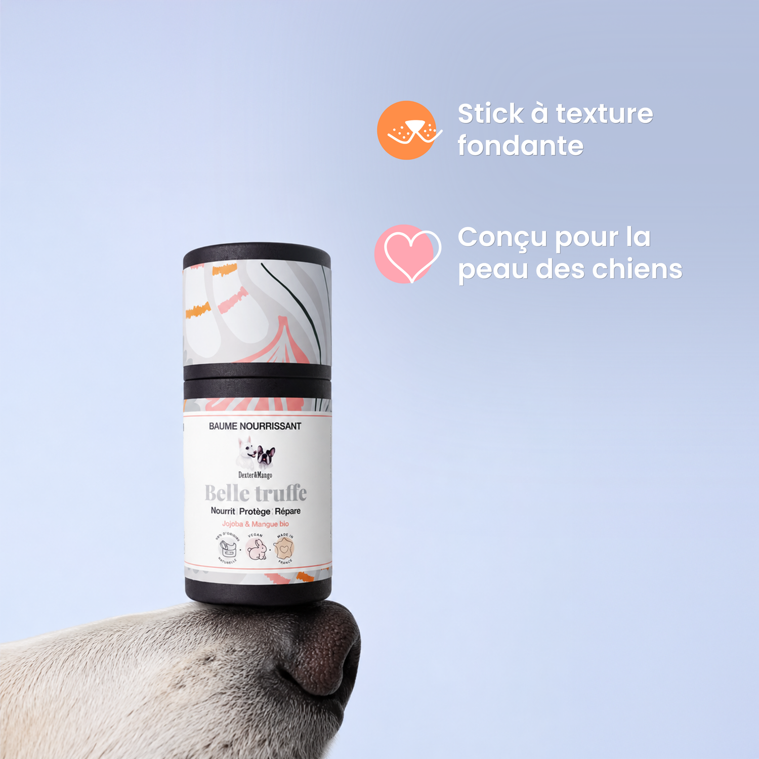 Truffe de chien abimée : Stick Belle truffe à la rescousse