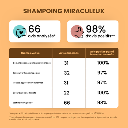 Shampoing Le Miraculeux solide : Confort cutané
