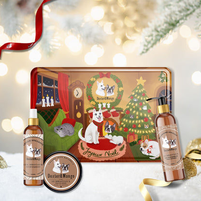 Coffret de Noël Miraculeux