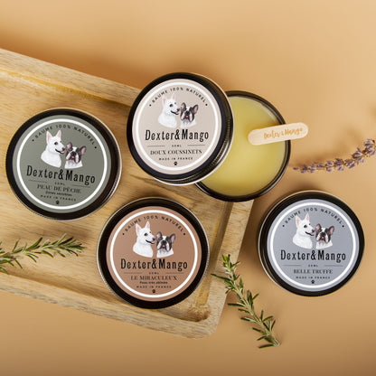  Présentation des baumes pour chien Dexter &amp; Mango sur plateau en bois avec plantes aromatiques