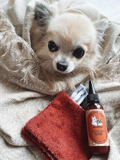  Chihuahua lové dans un plaid avec la gelée nettoyante Pot de Miel Dexter &amp; Mango et une lingette lavable