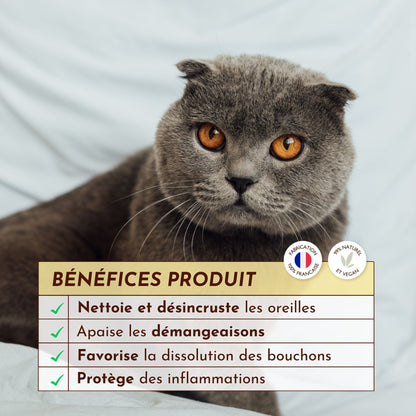 Chat gris aux yeux ambrés et bienfaits de la gelée nettoyante Cire d’Or