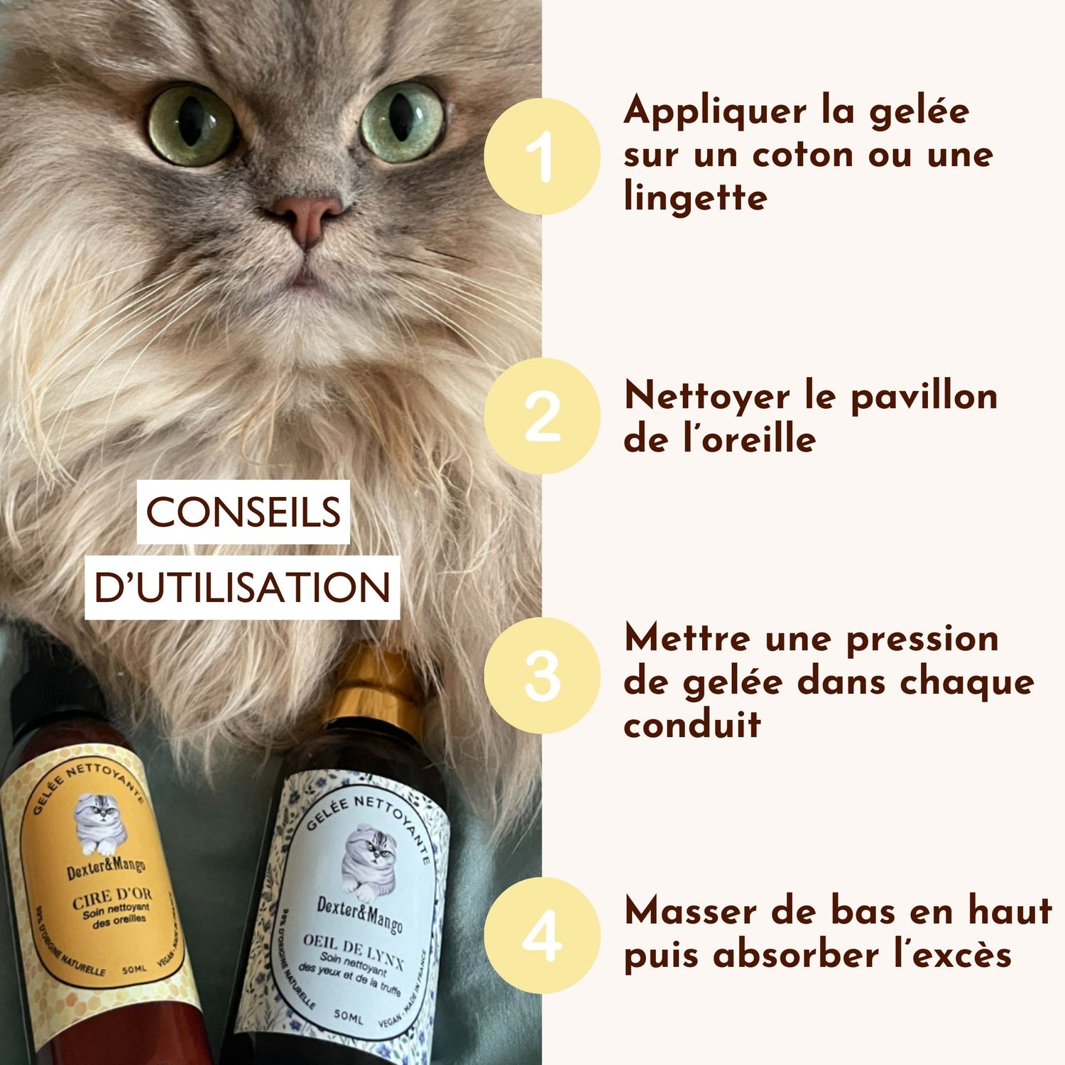 Conseils d’utilisation de la gelée Cire d’Or avec chat et deux produits Dexter &amp; Mango