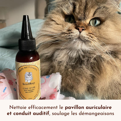 Chat persan aux longs poils à côté de la gelée Cire d’Or pour oreilles