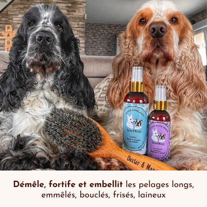 Deux cockers posent avec les lotions démêlante et réparatrice Dexter &amp; Mango
