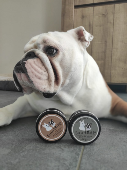 Bulldog allongé à côté des baumes Le Miraculeux et Peau de Pêche Dexter et Mango sur le sol
