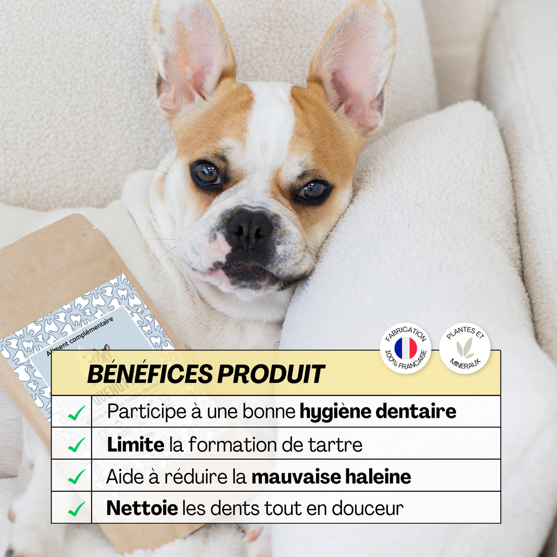 Bienfaits de l’aliment complémentaire Quenotte : limite la formation de tartre, réduit la mauvaise haleine et nettoie les dents en douceur.