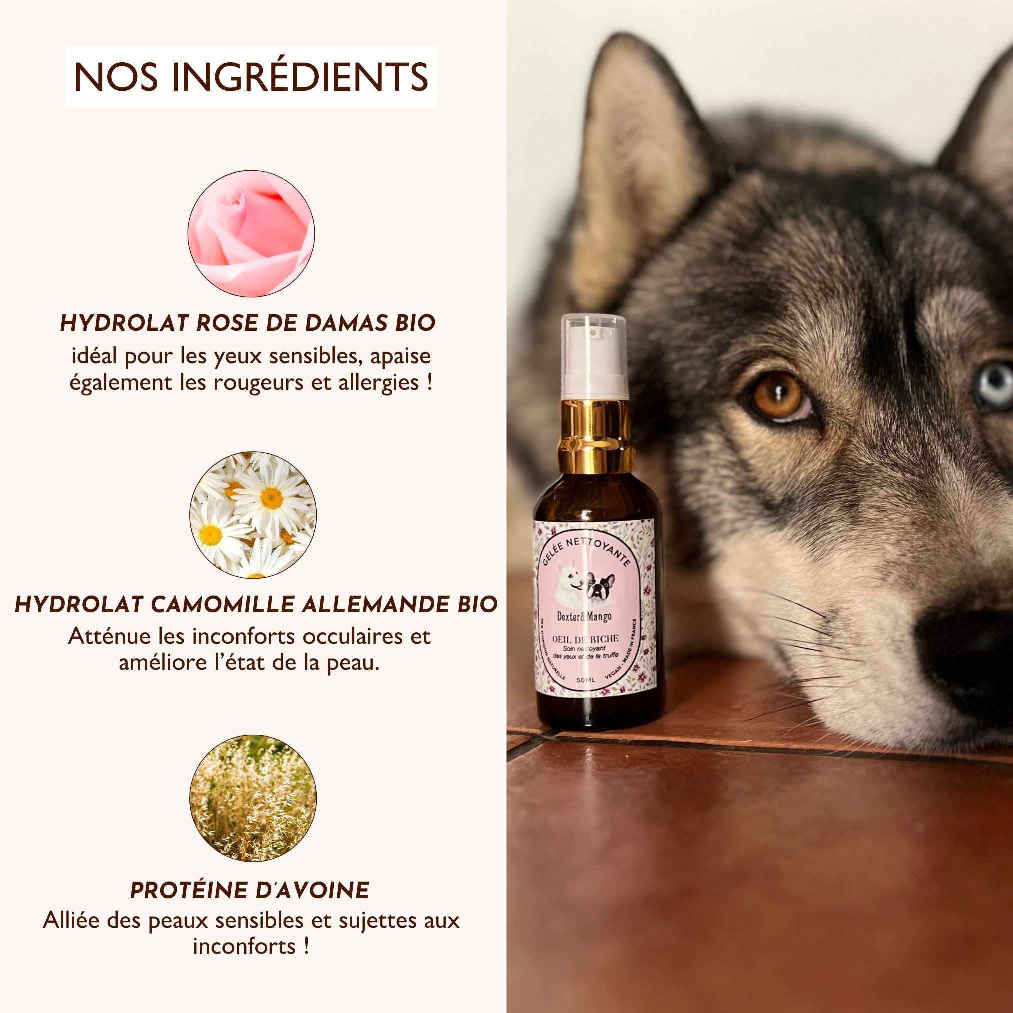 Pack Œil de biche + lingettes lavables