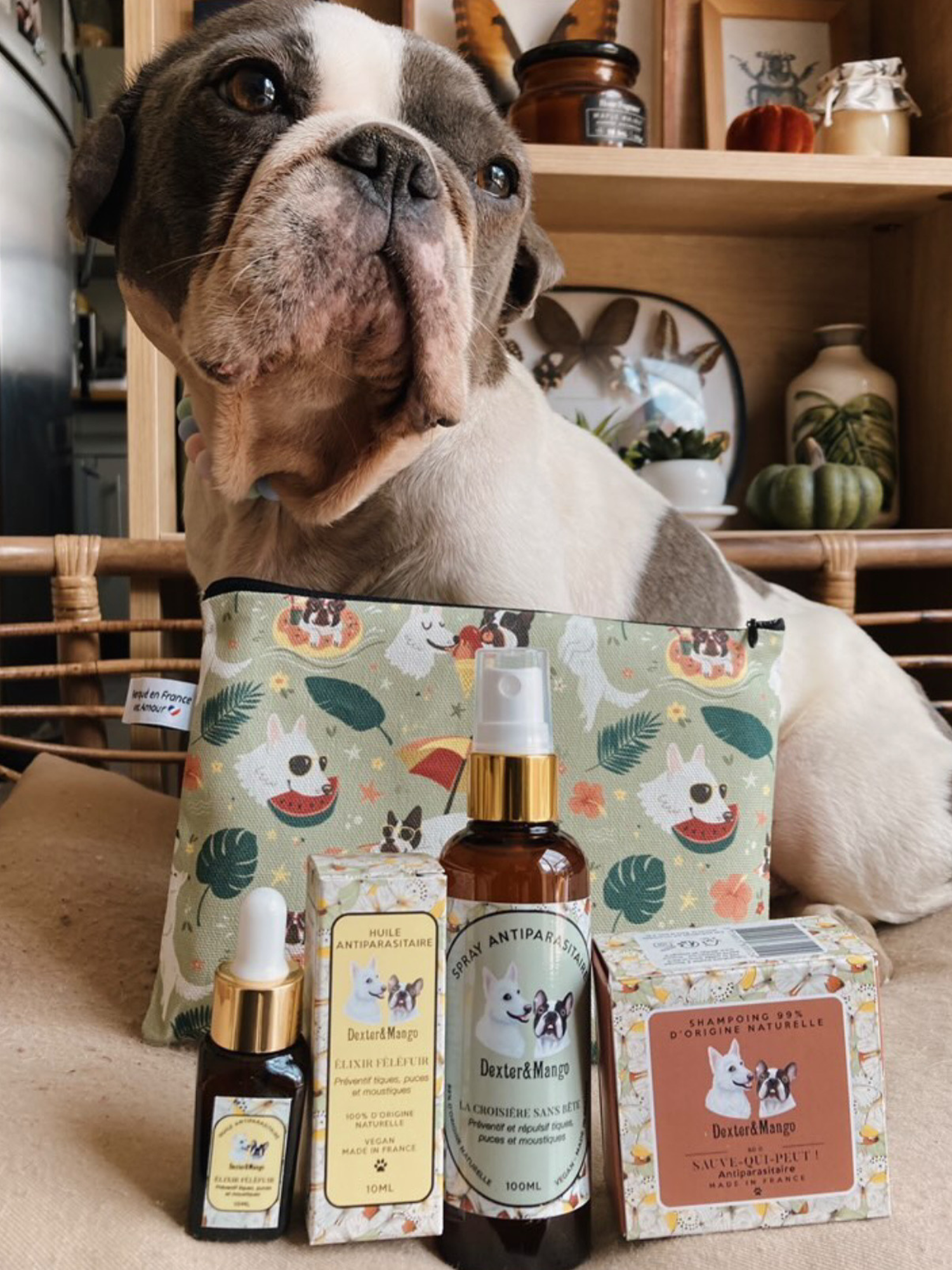 Chien posant avec le pack antiparasitaire naturel Dexter &amp; Mango et la pochette illustrée