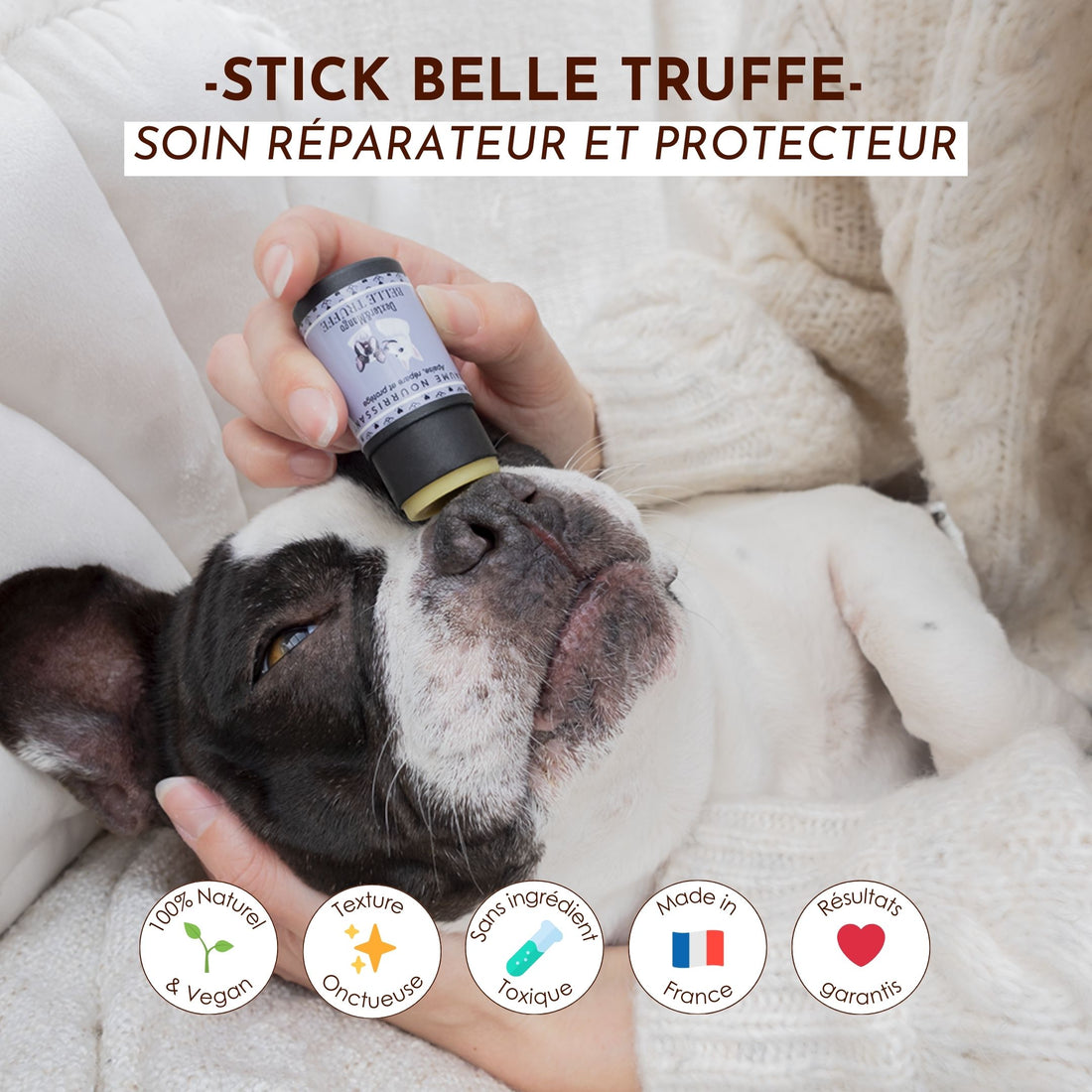Application du stick Belle Truffe sur la truffe d’un bouledogue, un soin réparateur naturel.